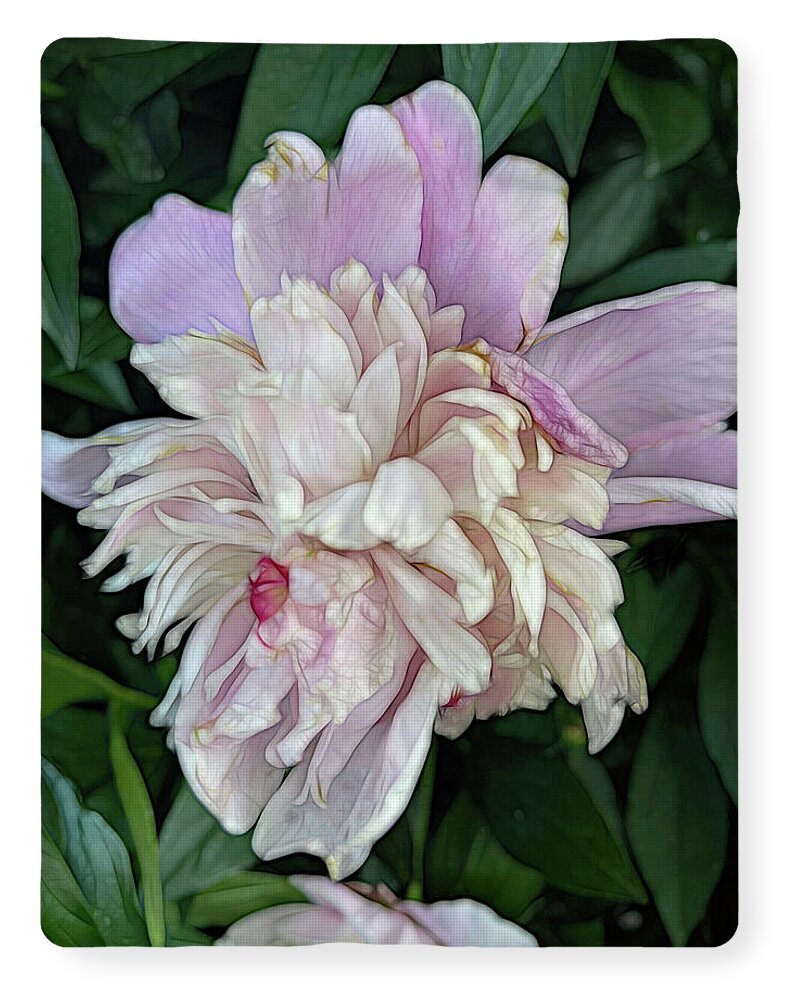 June Peony - Blanket