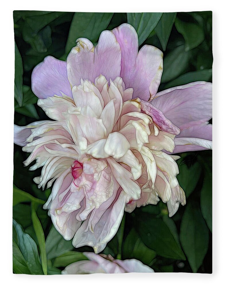 June Peony - Blanket