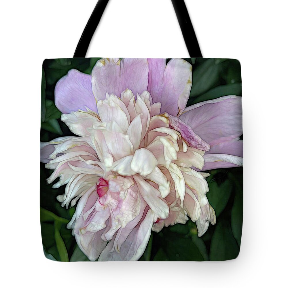 June Peony - Tote Bag