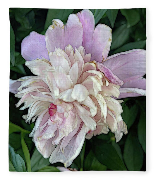 June Peony - Blanket