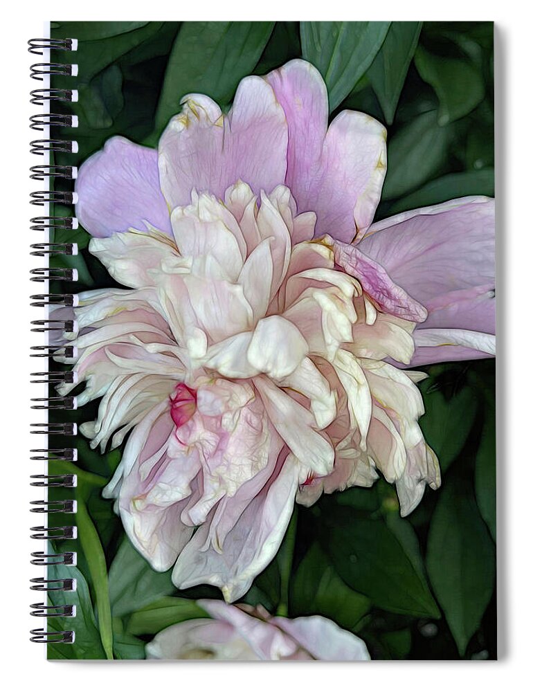 June Peony - Spiral Notebook