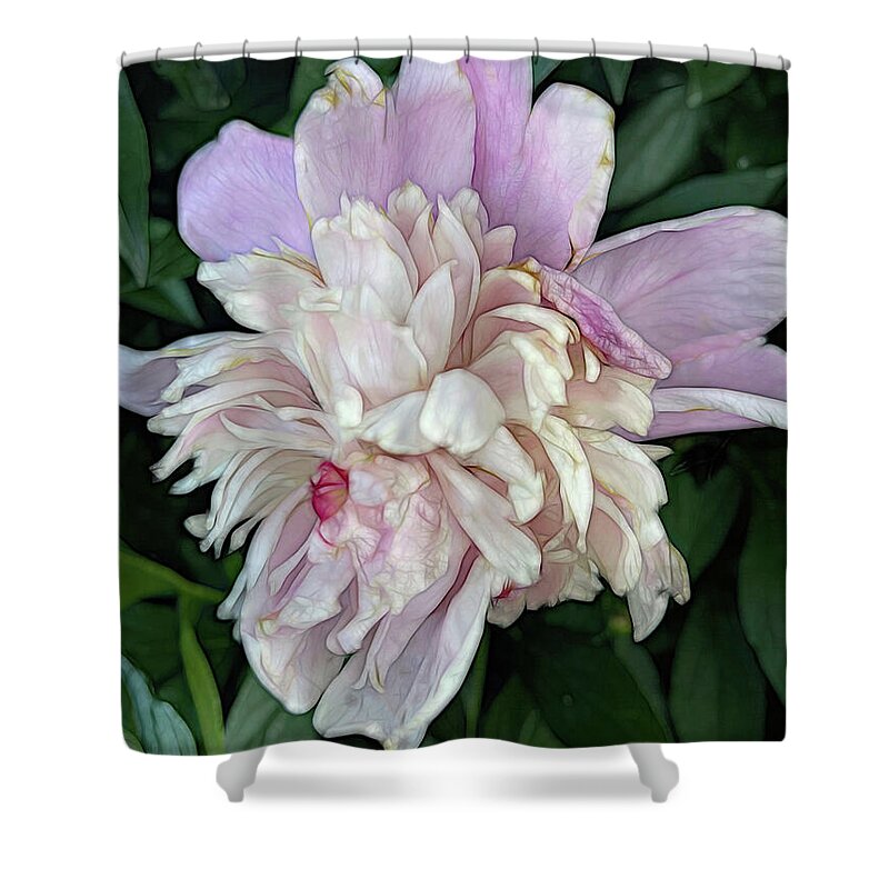 June Peony - Shower Curtain