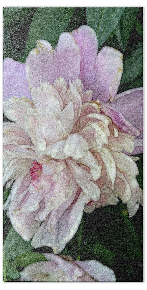 June Peony - Beach Towel