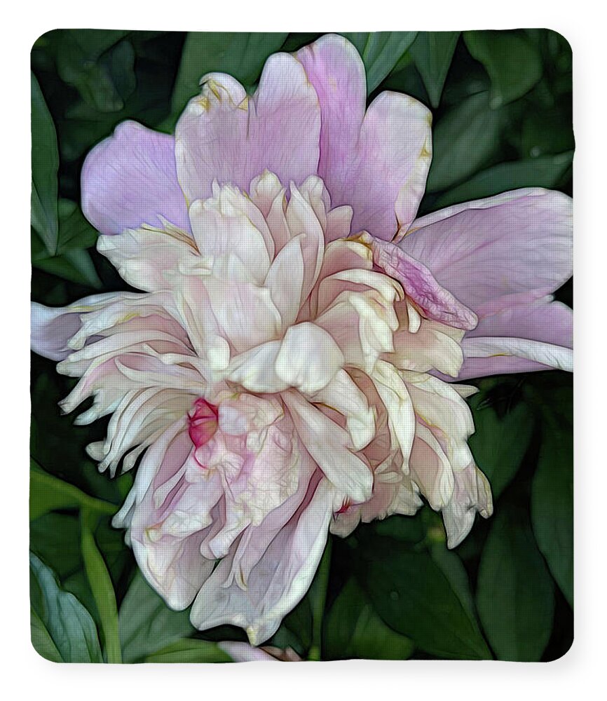 June Peony - Blanket