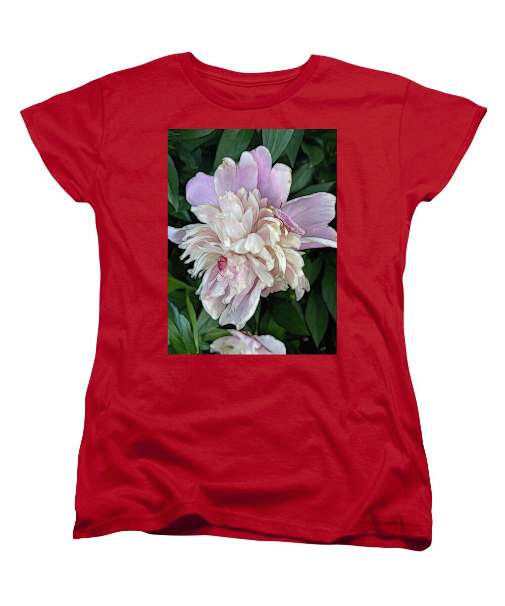 June Peony - Women's T-Shirt (Standard Fit)