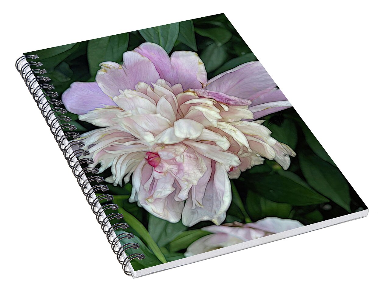 June Peony - Spiral Notebook