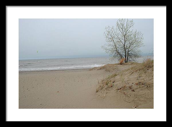 Lake Michigan Sandy Tree - Framed Print