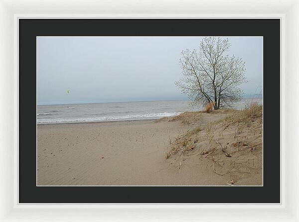 Lake Michigan Sandy Tree - Framed Print