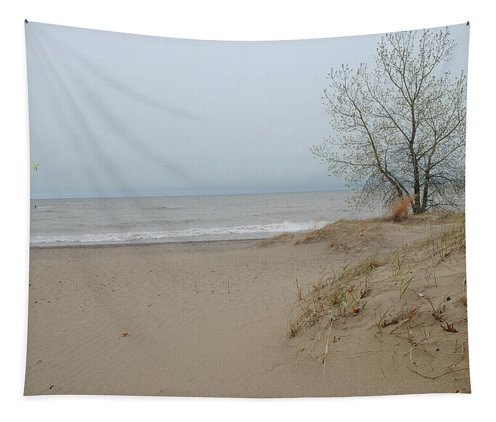 Lake Michigan Sandy Tree - Tapestry