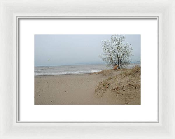 Lake Michigan Sandy Tree - Framed Print