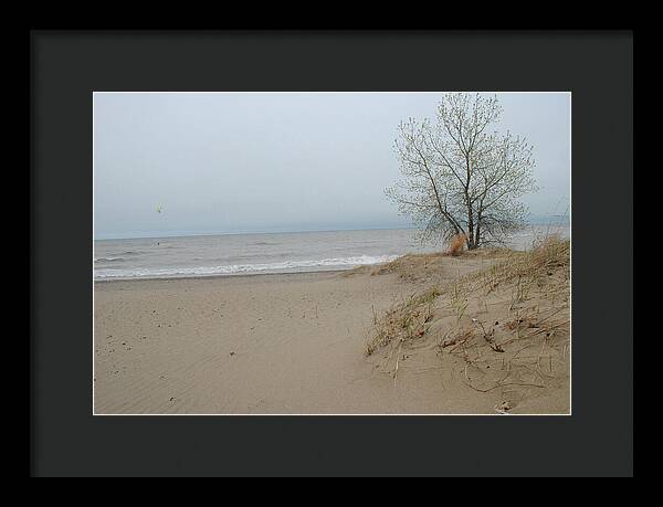 Lake Michigan Sandy Tree - Framed Print