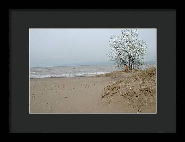 Lake Michigan Sandy Tree - Framed Print