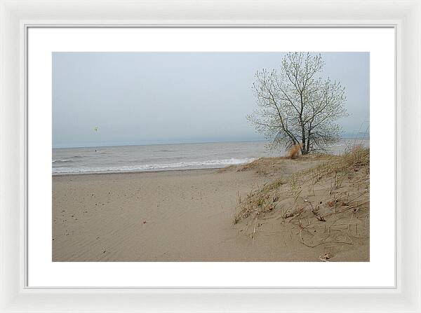 Lake Michigan Sandy Tree - Framed Print