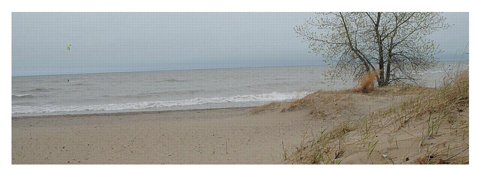 Lake Michigan Sandy Tree - Yoga Mat