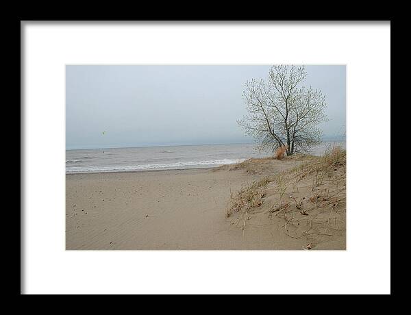 Lake Michigan Sandy Tree - Framed Print