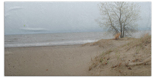 Lake Michigan Sandy Tree - Beach Towel