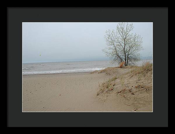 Lake Michigan Sandy Tree - Framed Print