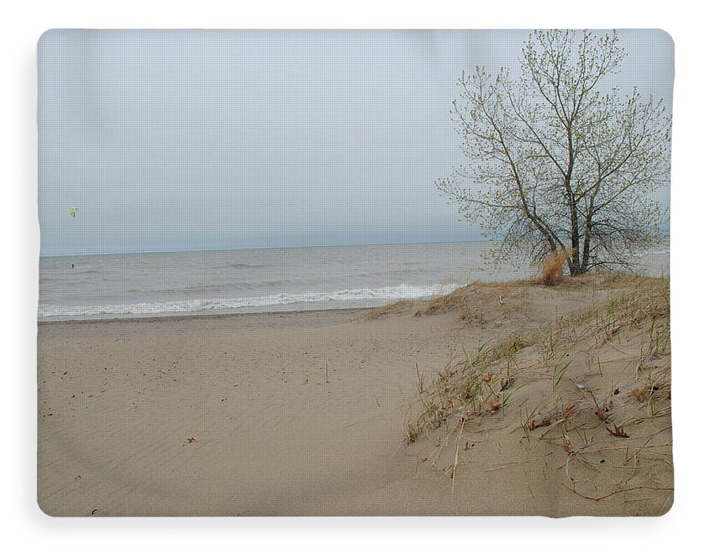 Lake Michigan Sandy Tree - Blanket