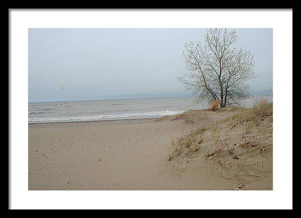 Lake Michigan Sandy Tree - Framed Print