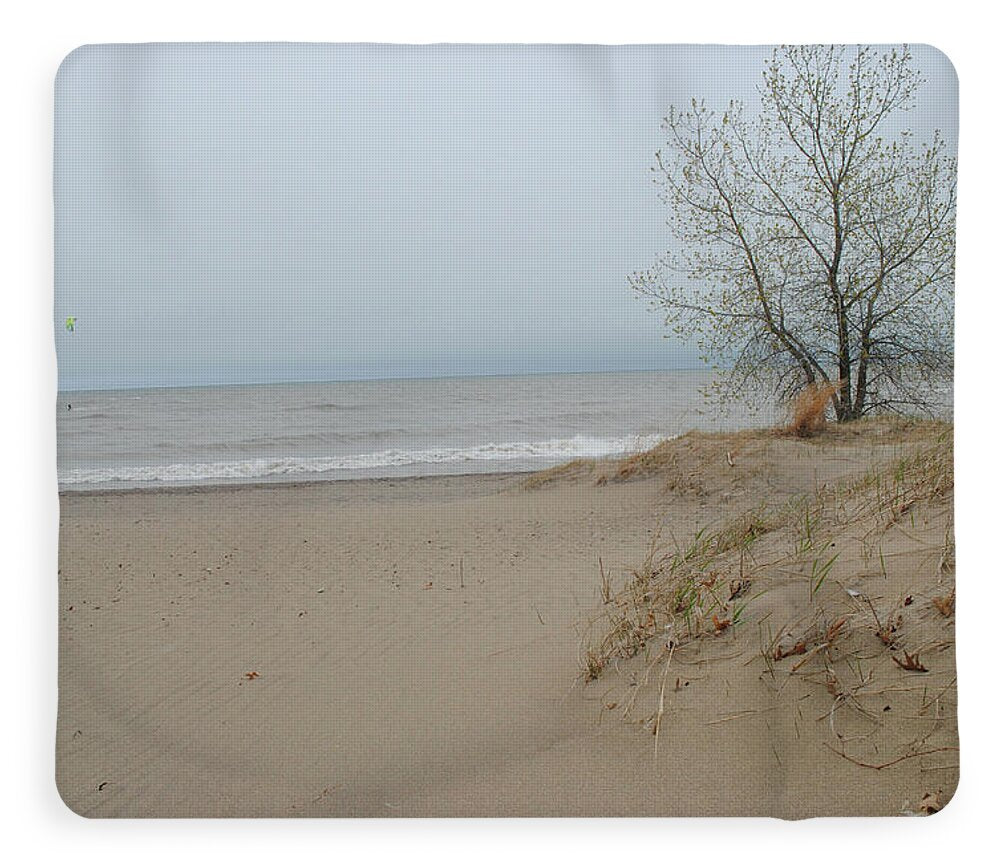 Lake Michigan Sandy Tree - Blanket