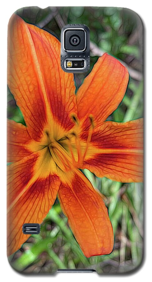 Late June Tiger Lily - Phone Case