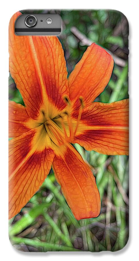 Late June Tiger Lily - Phone Case