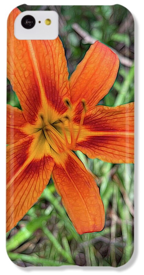 Late June Tiger Lily - Phone Case