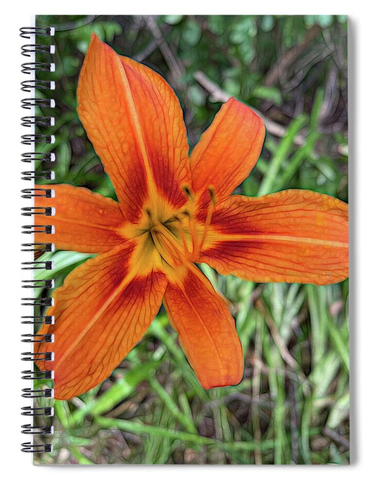 Late June Tiger Lily - Spiral Notebook