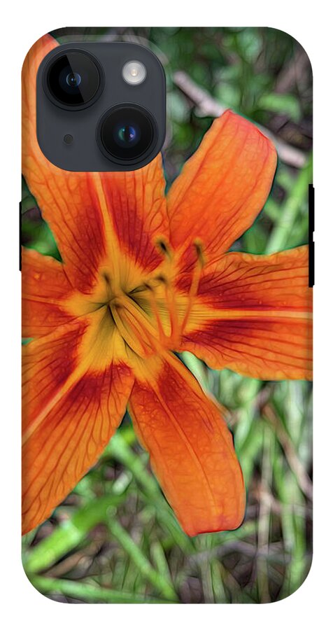 Late June Tiger Lily - Phone Case