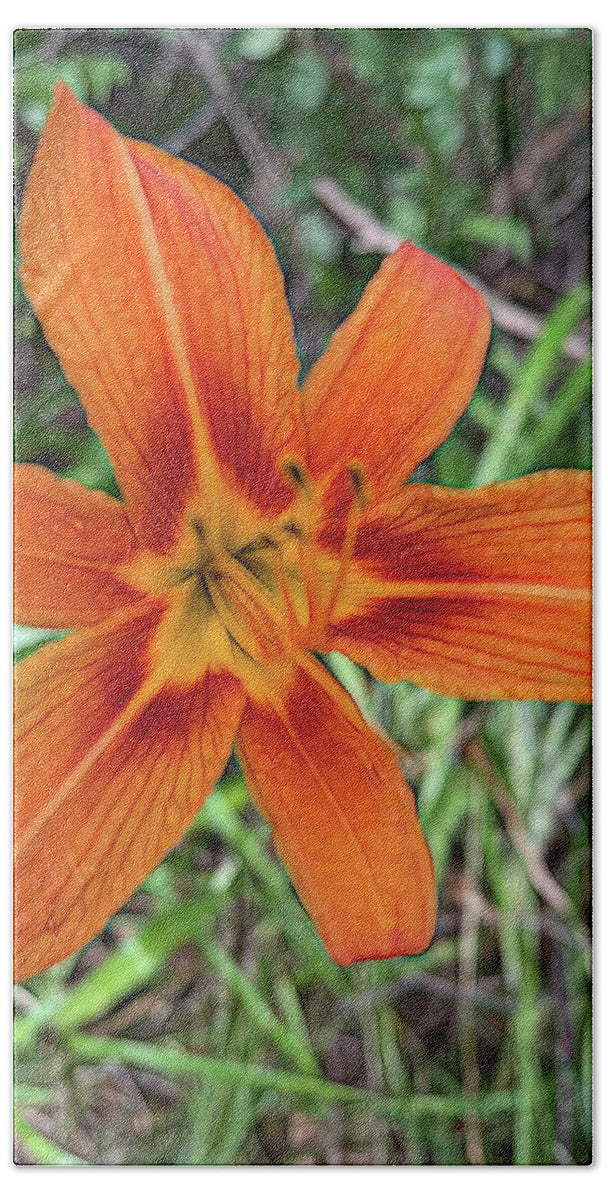 Late June Tiger Lily - Bath Towel