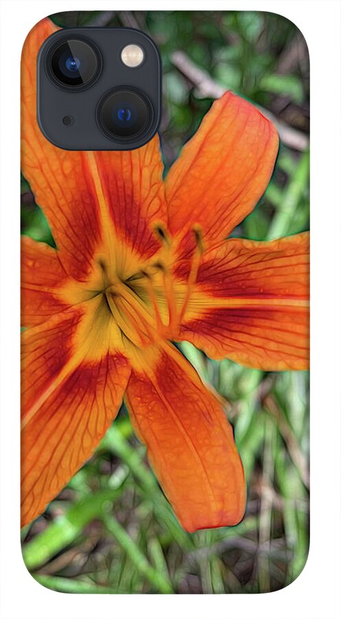 Late June Tiger Lily - Phone Case