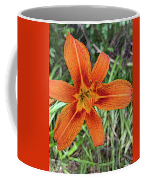 Late June Tiger Lily - Mug