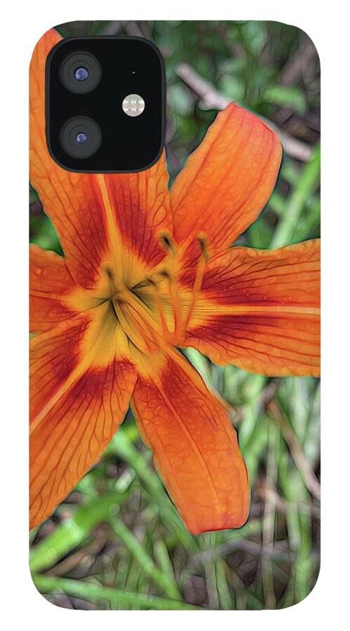 Late June Tiger Lily - Phone Case