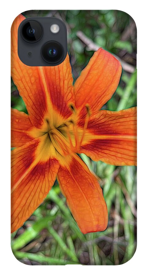 Late June Tiger Lily - Phone Case