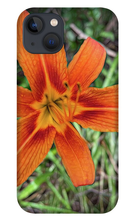 Late June Tiger Lily - Phone Case