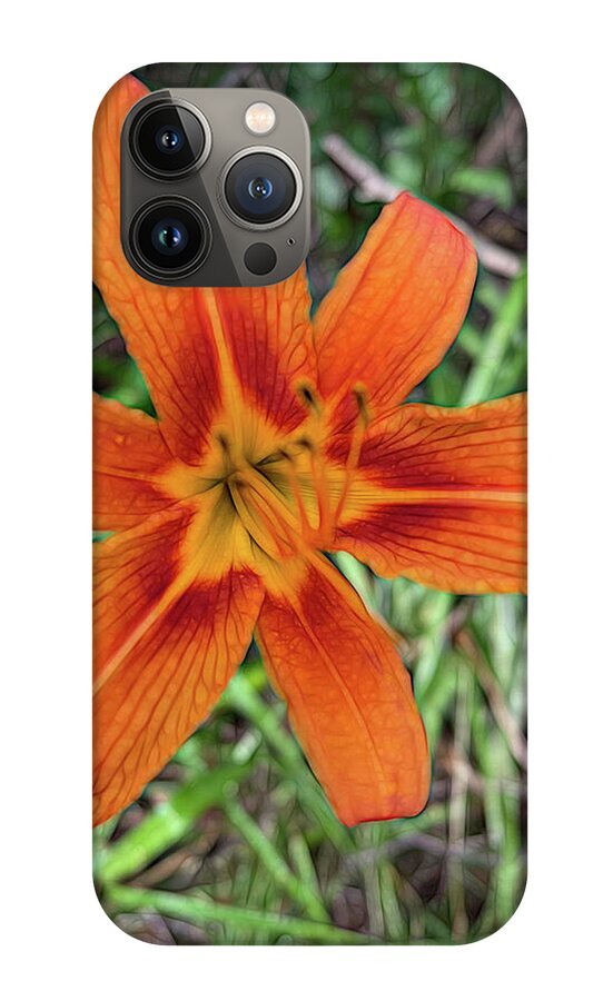 Late June Tiger Lily - Phone Case