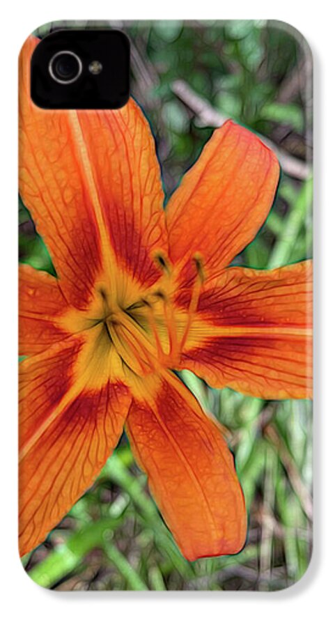 Late June Tiger Lily - Phone Case