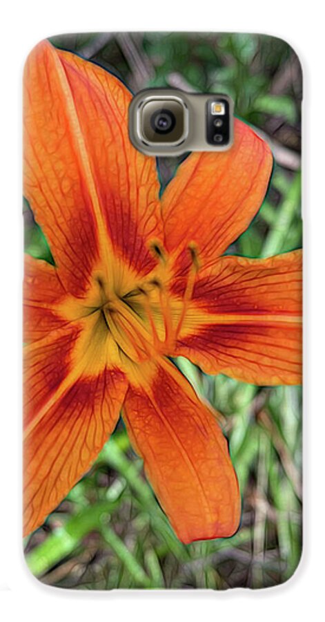 Late June Tiger Lily - Phone Case