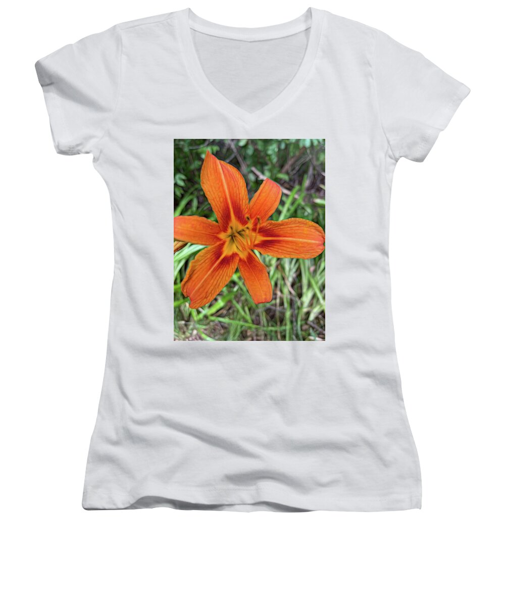 Late June Tiger Lily - Women's V-Neck