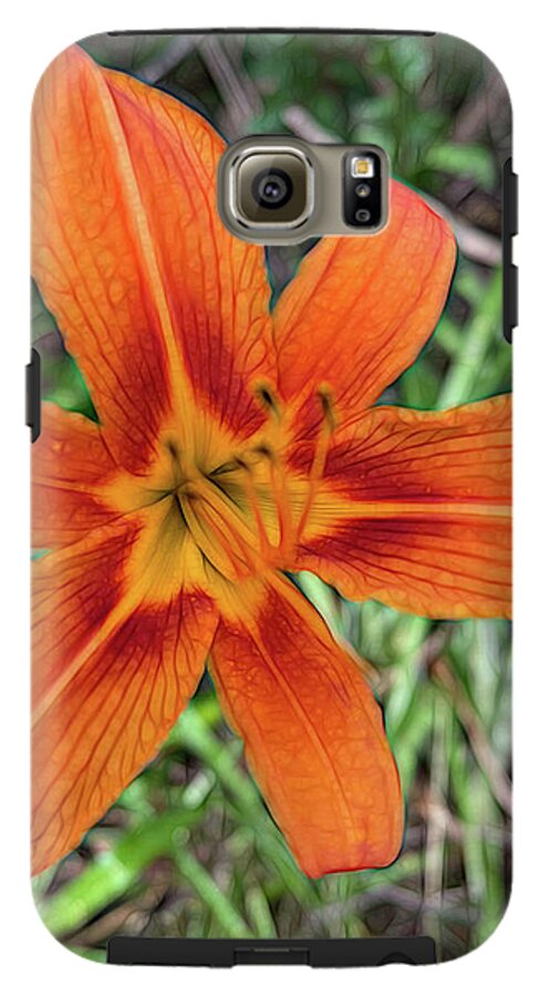 Late June Tiger Lily - Phone Case