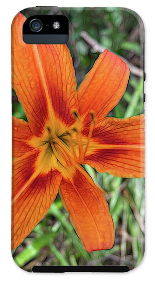 Late June Tiger Lily - Phone Case