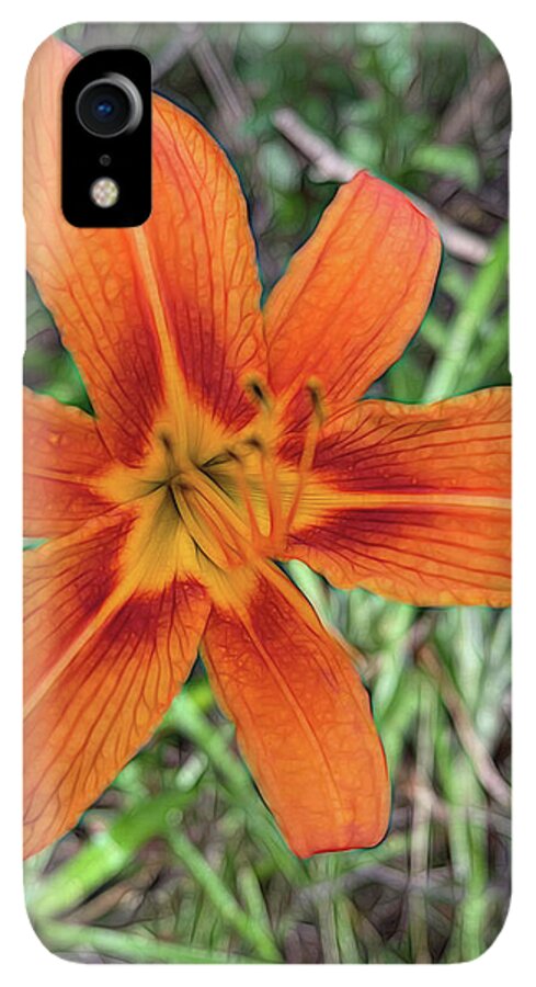 Late June Tiger Lily - Phone Case