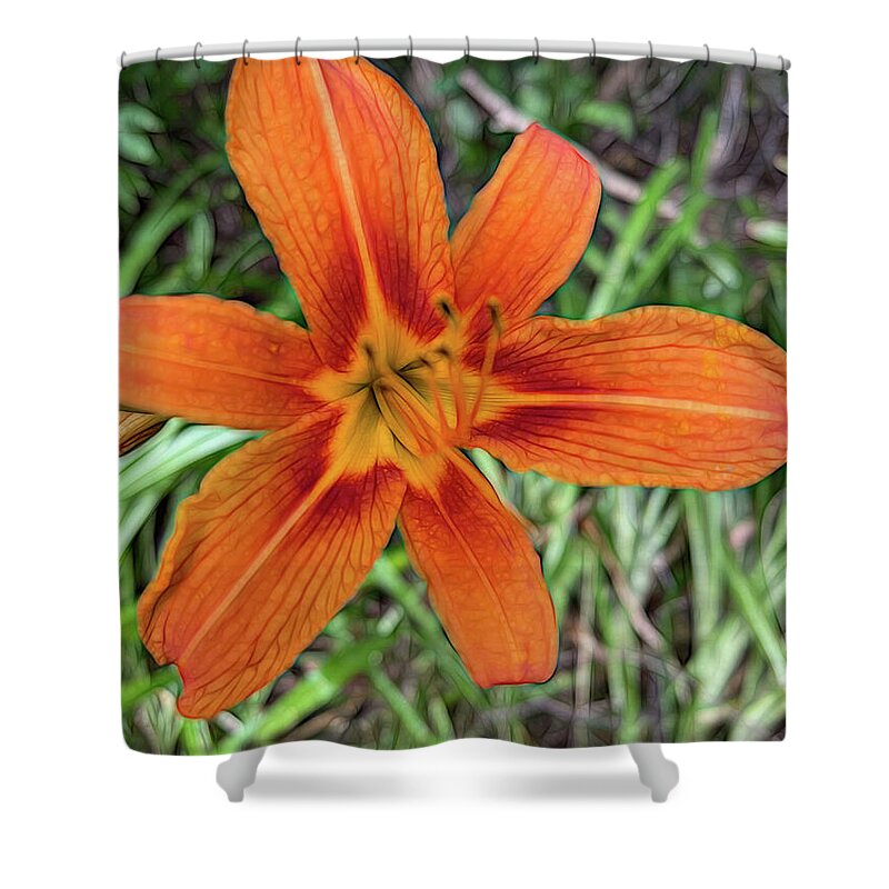 Late June Tiger Lily - Shower Curtain