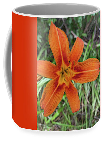 Late June Tiger Lily - Mug