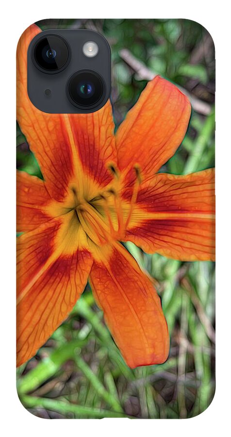 Late June Tiger Lily - Phone Case