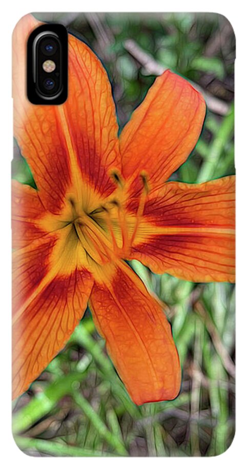 Late June Tiger Lily - Phone Case