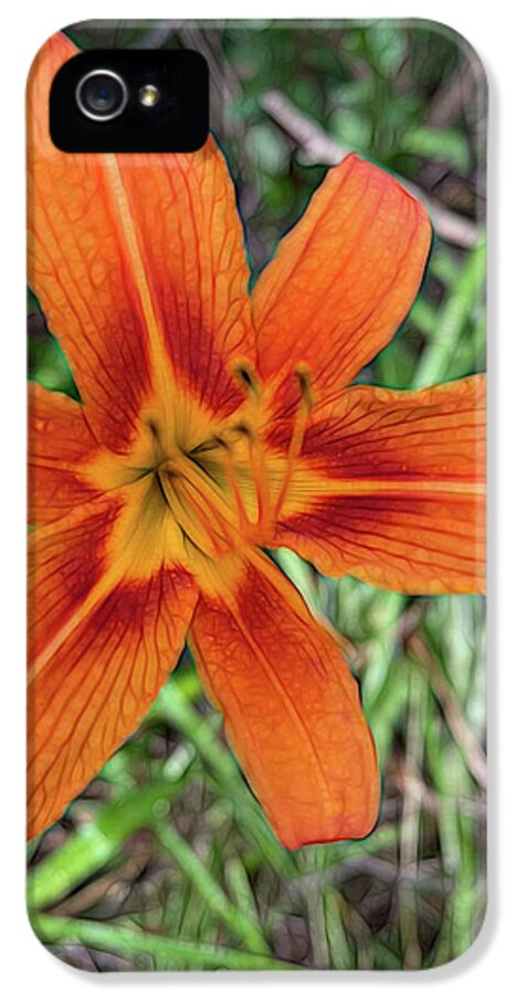 Late June Tiger Lily - Phone Case