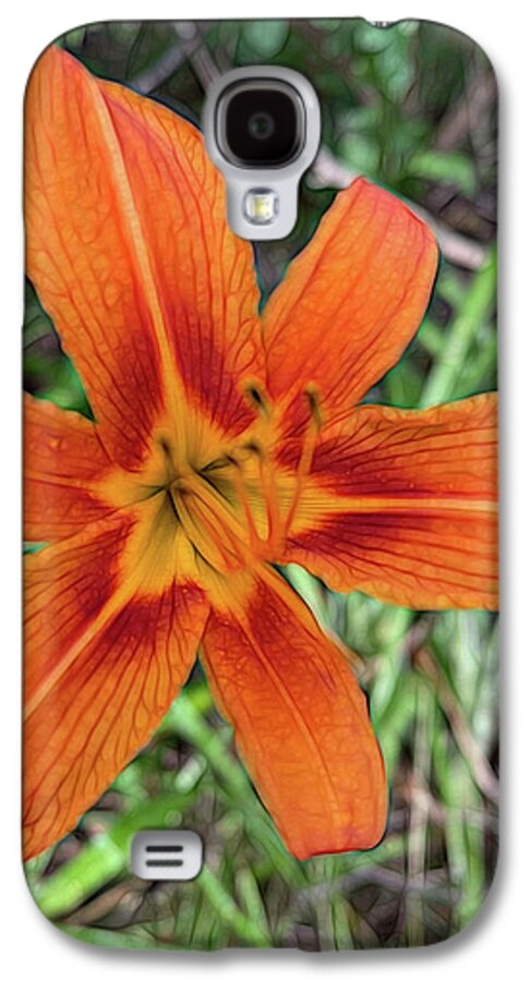 Late June Tiger Lily - Phone Case