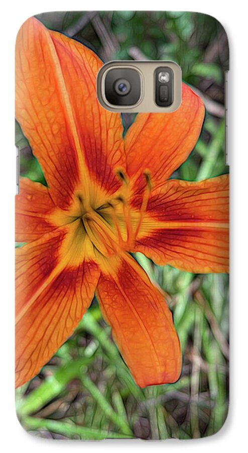 Late June Tiger Lily - Phone Case