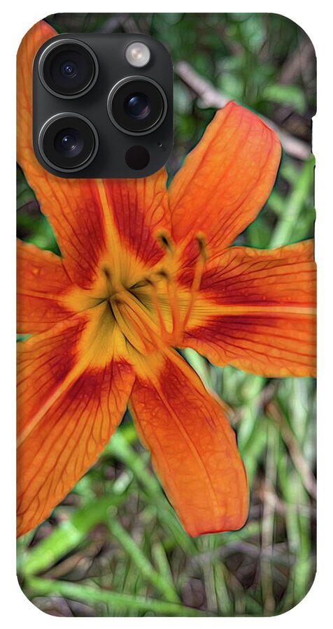 Late June Tiger Lily - Phone Case